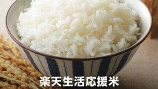 お米（白米）