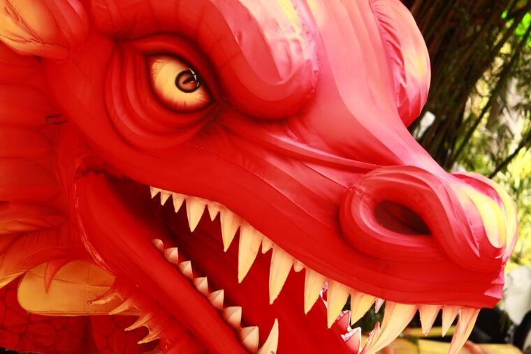ドラゴンの顔